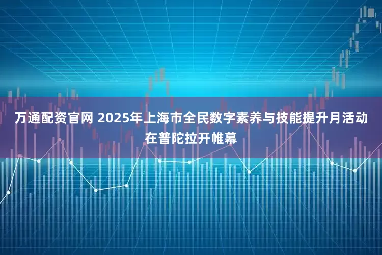 万通配资官网 2025年上海市全民数字素养与技能提升月活动在普陀拉开帷幕