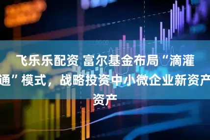 飞乐乐配资 富尔基金布局“滴灌通”模式，战略投资中小微企业新资产